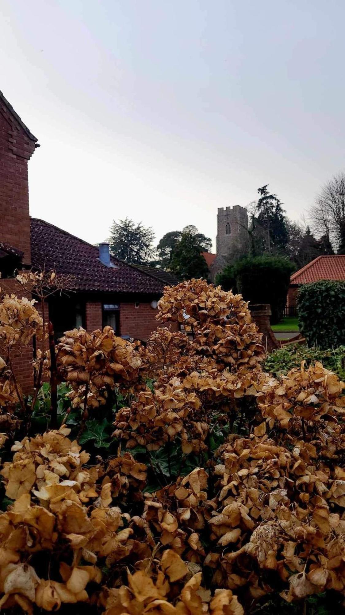 Church Farm Guest House Horsford Exterior photo